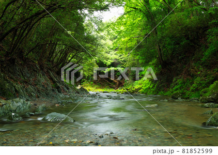 夏の三波渓谷【埼玉県ときがわ町】 81852599