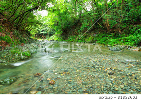 夏の三波渓谷【埼玉県ときがわ町】 夏の三波渓谷【埼玉県ときがわ町】 81852603