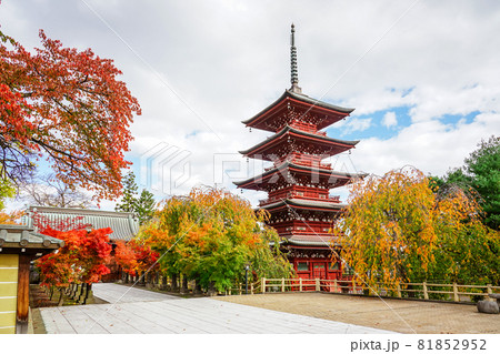 五重塔と紅葉　最勝院（青森県弘前市） 81852952
