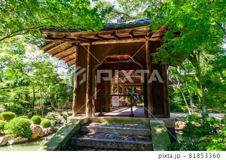 揚輝荘、北庭園にたたずむ白雲橋〈愛知県名古屋市〉 81853360