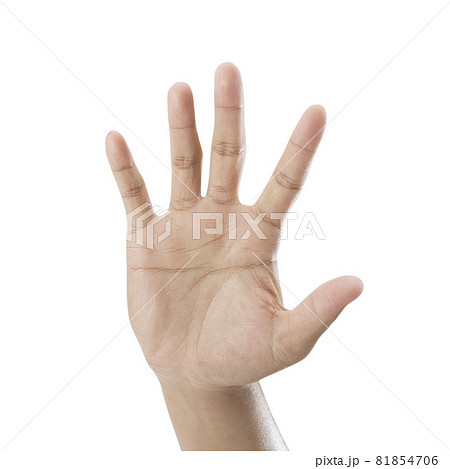 hand symbol showing the five fingers isolated on a white background hand symbol showing the five fingers isolated on a white background 81854706