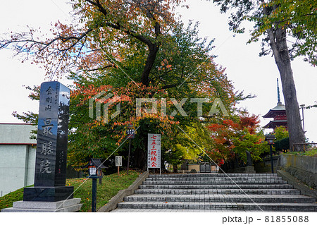 紅葉時期の最勝院五重塔 (青森県弘前市) 紅葉時期の最勝院五重塔 (青森県弘前市) 81855088
