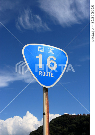 国道16号　標識 81855616