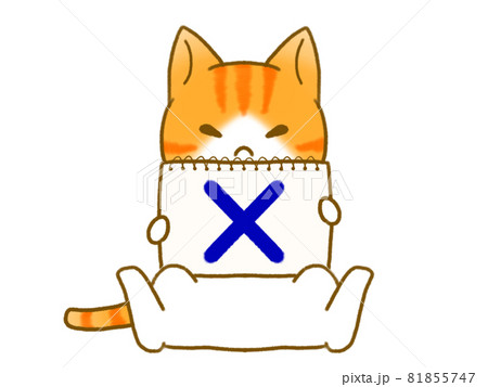 バツの画用紙を持つ猫 81855747