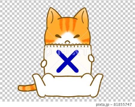 バツの画用紙を持つ猫 81855747