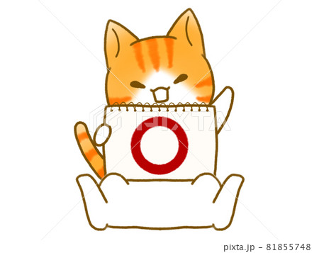 マルの画用紙を持つ猫のイラスト素材 [81855748] - PIXTA