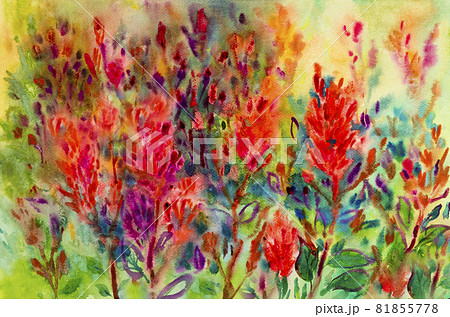 Abstract Watercolor Painting Of Flowers In Garden.のイラスト素材 [81855778 ...