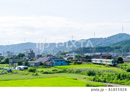 【徳島線】田園地帯を駆けるキハ1200形 81855928