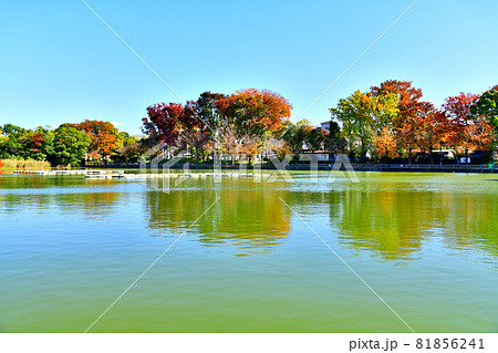 浮間公園(東京都板橋区／北区)【2020.11】 81856241