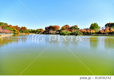 浮間公園(東京都板橋区／北区)【2020.11】 81856242