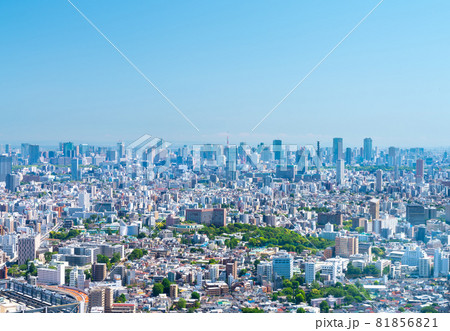 東京　春の青白磁の空 大都会 81856821