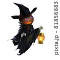 黒い服を着たジャックオーランタンのイラスト 81856883