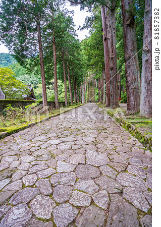 (山梨県)身延山久遠寺 菩提梯(ぼだいてい) (山梨県)身延山久遠寺 菩提梯(ぼだいてい) 81857382