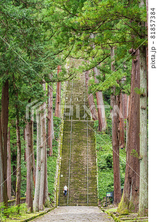 （山梨県）身延山久遠寺　菩提梯（ぼだいてい） 81857384