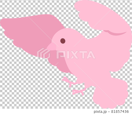 着地しようとする小鳥 81857436