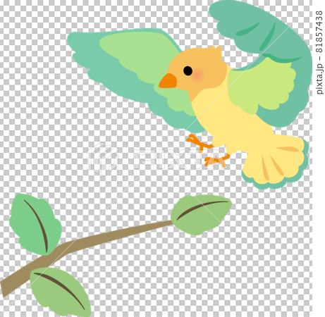 A small bird trying to perch on a tree branch A small bird trying to perch on a tree branch 81857438