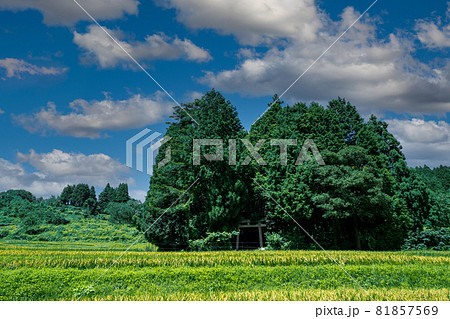 京都府宮津市上世屋の世屋姫神社を撮影 81857569