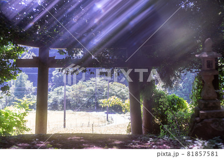 京都府宮津市上世屋の世屋姫神社を撮影 81857581