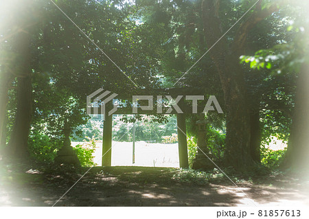 京都府宮津市上世屋の世屋姫神社を撮影 81857613