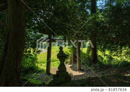 京都府宮津市上世屋の世屋姫神社を撮影 京都府宮津市上世屋の世屋姫神社を撮影 81857636