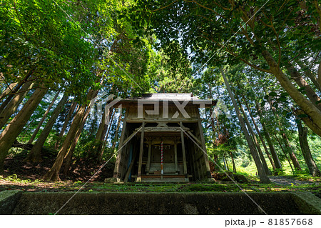 京都府宮津市上世屋の世屋姫神社を撮影 京都府宮津市上世屋の世屋姫神社を撮影 81857668