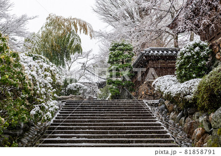 雪の能仁寺 81858791