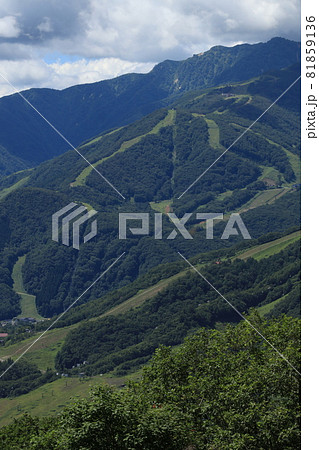 白馬岩岳山頂広場から望む白馬連峰 白馬岩岳山頂広場から望む白馬連峰 81859136
