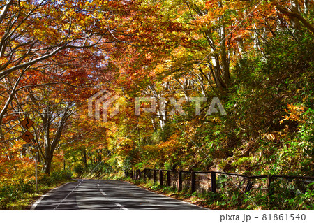 秋 八甲田山 秋 八甲田山 81861540