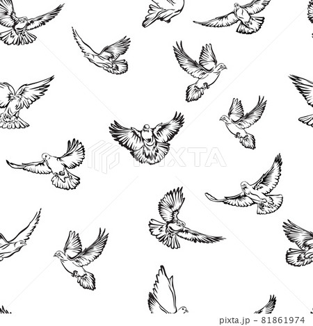 Flying Dove Vector Images over 27000