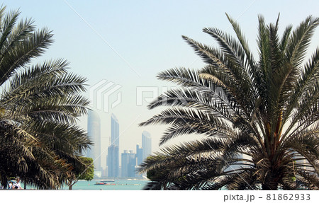 Abudabi, United Arab Emirates. Nice view of the city. Palm tree. 81862933