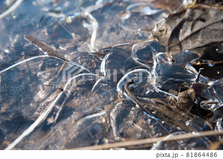 Ice structure. Abstract illustration in blue tones. Background, texture of frozen water. Frosty drawing on the window Ice structure. Abstract illustration in blue tones. Background, texture of frozen water. Frosty drawing on the window 81864486