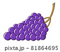 Grape 81864695
