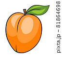 Apricot 81864698