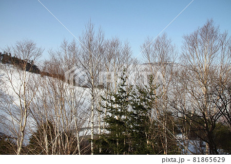 万座温泉、早朝宿窓からの空吹 81865629