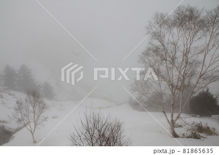 万座温泉、宿窓からの空吹 81865635