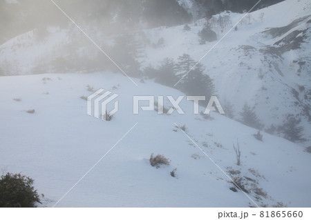 万座温泉、早朝宿窓からの空吹 81865660