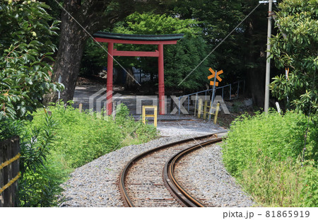 西濃鉄道の貨物線と鳥居 西濃鉄道の貨物線と鳥居 81865919