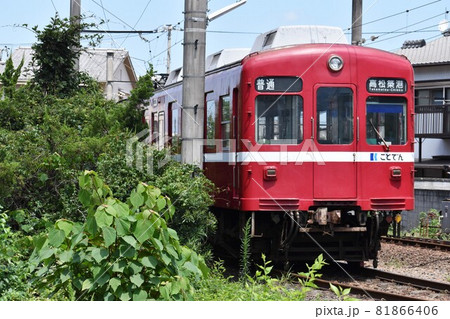 留置線に停車する高松琴平電気鉄道1200形 留置線に停車する高松琴平電気鉄道1200形 81866406