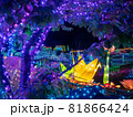 イルミネーションのツル 81866424