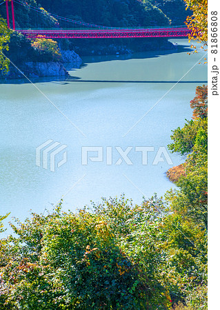 神流湖湖畔　金毘羅橋　秋の風景　紅葉の季節　　 81866808