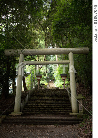 西臼杵郡(高千穂町) 天岩戸神社東宮 西臼杵郡(高千穂町) 天岩戸神社東宮 81867048