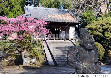 旗山神社 仁王像と本殿 旗山神社 仁王像と本殿 81867442