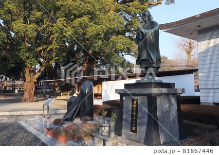 善導寺 聖光上人像 善導寺 聖光上人像 81867446