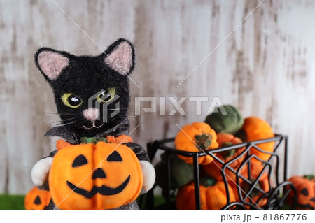 ハロウィン 黒猫 カワイイ カボチャの写真素材 [81867776] - PIXTA