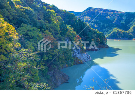神流湖　湖畔　金毘羅橋からの景色　秋の風景　紅葉の季節　　 81867786
