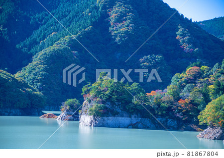 神流湖　湖畔　金毘羅橋からの景色　秋の風景　紅葉の季節　　 81867804