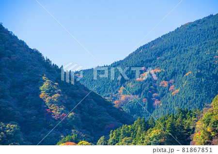 神流湖　湖畔　金毘羅橋からの景色　秋の風景　紅葉の季節　　 81867851