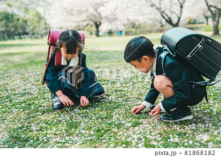 小学校入学 小学校入学 81868182