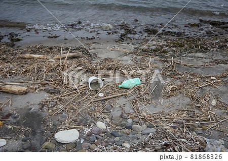 SDGs　海洋ごみ 81868326