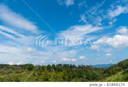 夏の赤松林 青空 コピースペース 背景素材 夏の赤松林 青空 コピースペース 背景素材 81869174